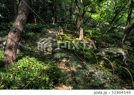 白鳥庭園点景 52804549