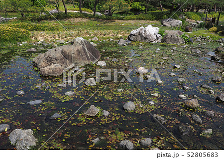 白鳥庭園点景 白鳥庭園点景 52805683