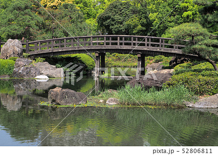 白鳥庭園点景 白鳥庭園点景 52806811