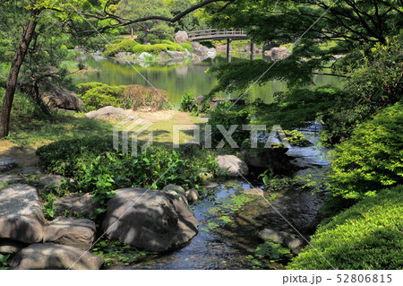 白鳥庭園点景 白鳥庭園点景 52806815