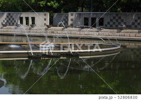 白鳥庭園点景 白鳥庭園点景 52806830