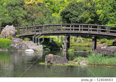 白鳥庭園点景 白鳥庭園点景 52808663