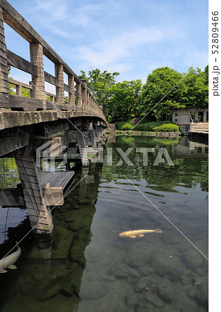 白鳥庭園点景 白鳥庭園点景 52809466