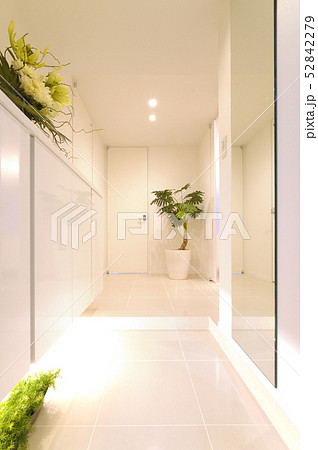 きれいな玄関　住宅 52842279