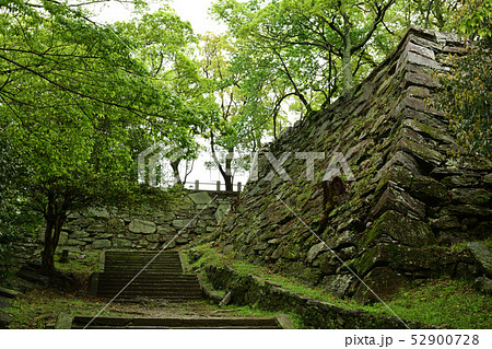 日本100名城・徳島城 52900728