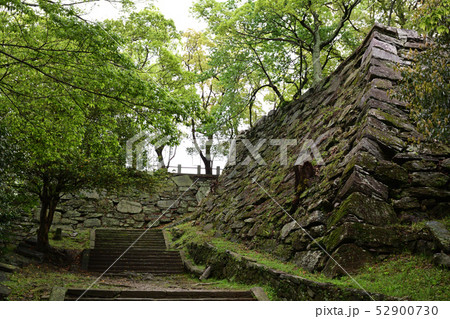 日本100名城・徳島城 52900730