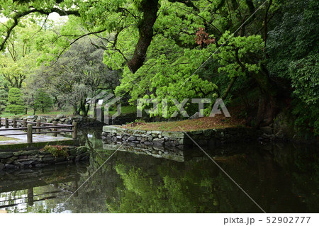 日本100名城・徳島城 日本100名城・徳島城 52902777