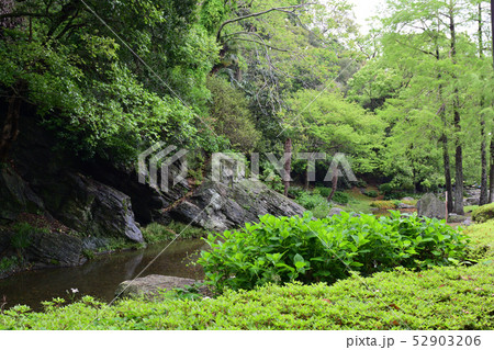 日本100名城・徳島城 日本100名城・徳島城 52903206