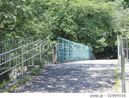 神田川支流の善福寺川にかかる西田橋(東京都杉並区) 神田川支流の善福寺川にかかる西田橋(東京都杉並区) 52904556