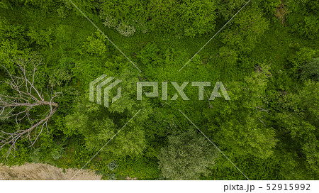 Drone's Eye View - aerial top down view of foliage trees background, Caucasus, Russia. Drone's Eye View - aerial top down view of foliage trees background, Caucasus, Russia. 52915992
