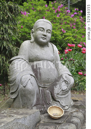 つくば牡丹園　茨城県つくば市　 52916355