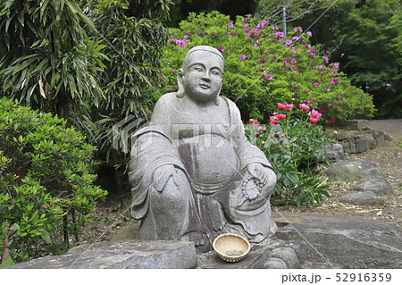 つくば牡丹園　茨城県つくば市　 52916359