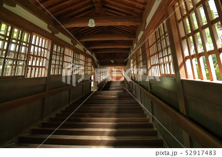 福井の永平寺の長い廊下 52917483
