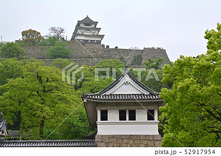 日本100名城・丸亀城 52917954