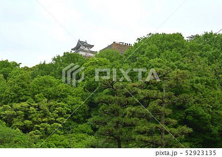 日本100名城・丸亀城 日本100名城・丸亀城 52923135