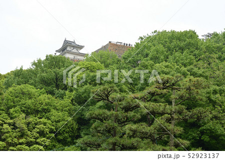 日本100名城・丸亀城 日本100名城・丸亀城 52923137