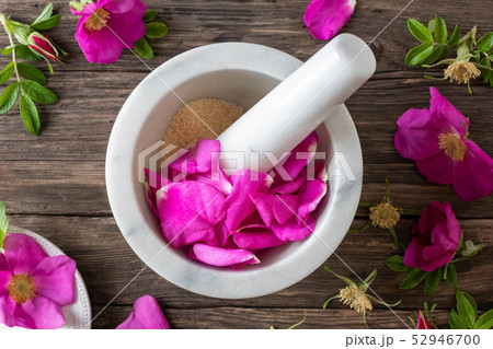Rosa rugosa petals with cane sugar in a mortar Rosa rugosa petals with cane sugar in a mortar 52946700