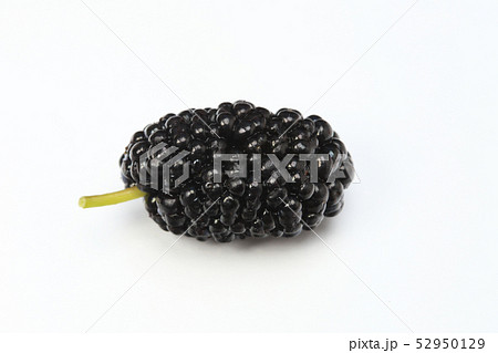 桑の実 マルベリー 桑の実 マルベリー 52950129