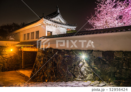桜の名所！龍野城本丸御殿、埋門で夜桜を見る（兵庫県たつの市）※作品コメント欄に撮影位置 52956424