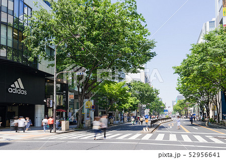 名古屋市中区 栄　都市風景　大津通　白川通大津交差点付近  南大津通歩行者天国  52956641