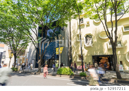 名古屋市中区 栄 大津通 Francfranc 名古屋栄店 ハリー・ウィンストン名古屋店 名古屋市中区 栄 大津通 Francfranc 名古屋栄店 ハリー・ウィンストン名古屋店 52957211