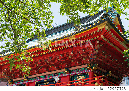 東京 神田明神 若葉と隨神門(内側から) 東京 神田明神 若葉と隨神門(内側から) 52957598