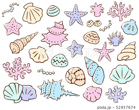 貝 ヒトデ サンゴの手描きパステルカラーイラストセット 線画 版