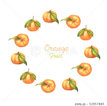 Watercolor round frame orange fruit. 52957885