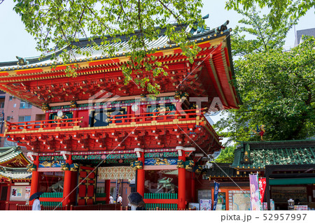 東京　神田明神　若葉と隨神門（内側から） 52957997