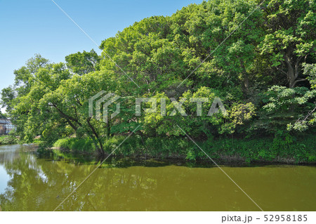 【墓山古墳】 大阪府羽曳野市白鳥３ 52958185