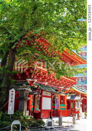 東京　神田明神　若葉と隨神門（外側から） 52958405