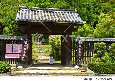 日本100名城・宇和島城 日本100名城・宇和島城 52959389