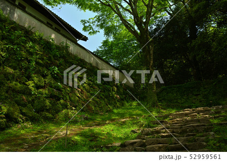 日本100名城・宇和島城 日本100名城・宇和島城 52959561