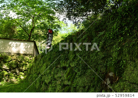 日本100名城・宇和島城 日本100名城・宇和島城 52959814