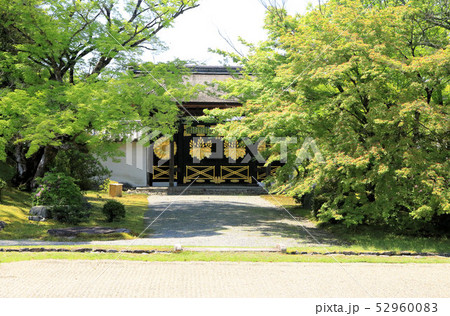 京都醍醐寺の日本庭園 京都醍醐寺の日本庭園 52960083