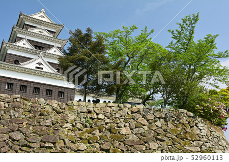 日本100名城・大洲城 52960113