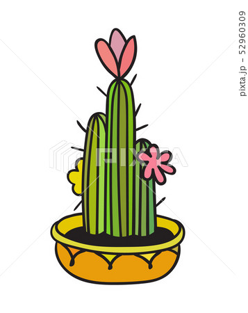 Cactus with black contour. Vector illustration. 52960309