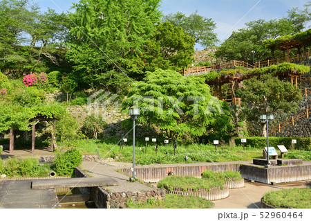 日本100名城・大洲城 52960464