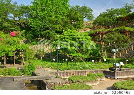 日本100名城・大洲城 52960465