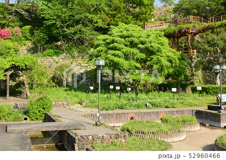 日本100名城・大洲城 52960466