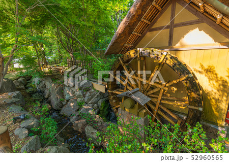 東京調布 深大寺水車館 52960565