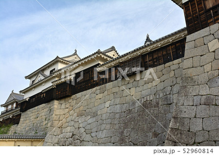 日本100名城・松山城 52960814