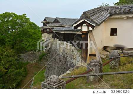 日本100名城・松山城 52960826