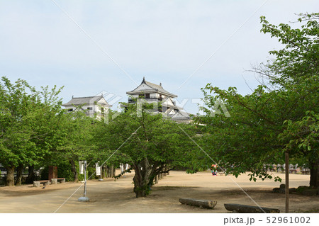 日本100名城・松山城 52961002