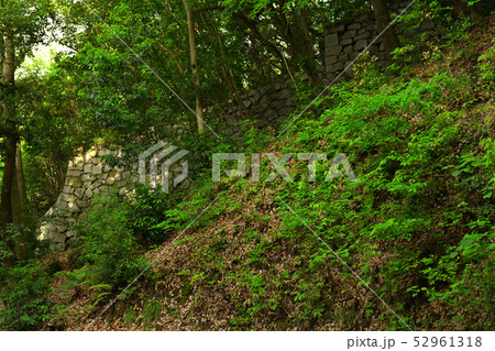 日本100名城・松山城 日本100名城・松山城 52961318