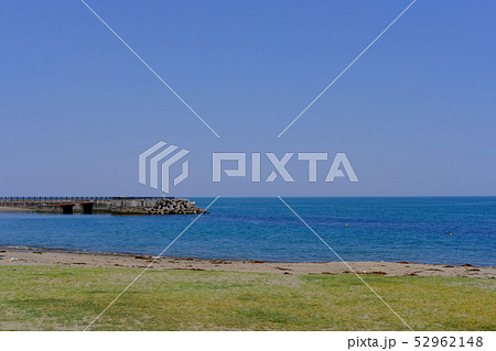 長浜海浜公園 長浜海浜公園 52962148