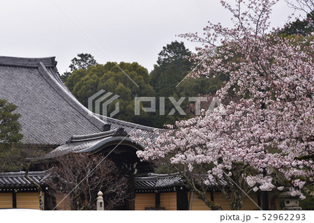 くろ谷　金戒光明寺 52962293
