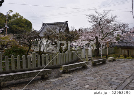 くろ谷　金戒光明寺　極楽橋と蓮池 52962296