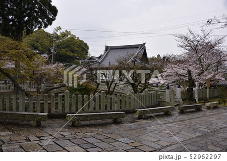 くろ谷　金戒光明寺　極楽橋と蓮池 52962297