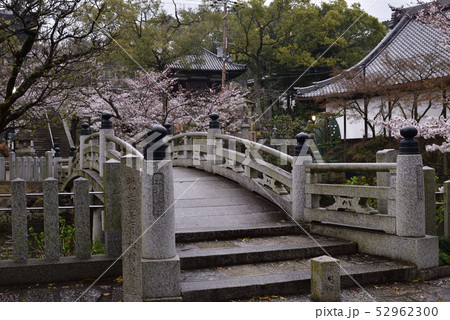 くろ谷　金戒光明寺　極楽橋と蓮池 52962300